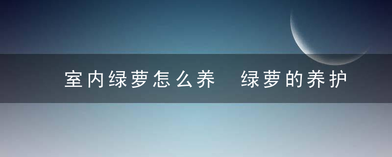 室内绿萝怎么养 绿萝的养护方法